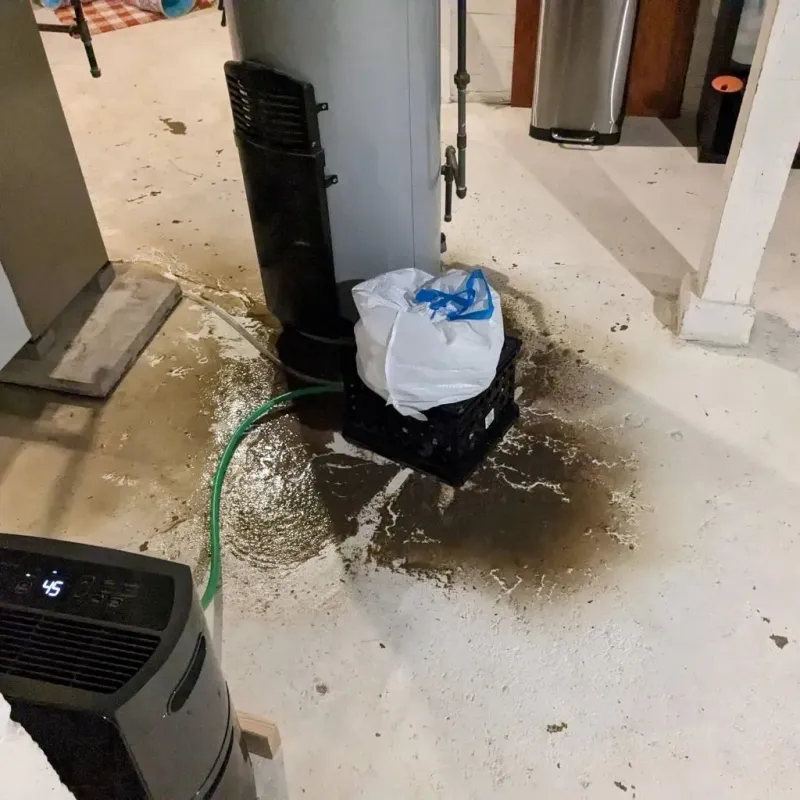 Sewage Backup Cleanup Service in Carneys Point, NJ